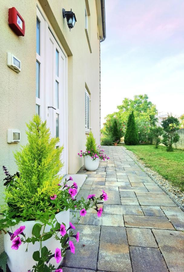 Guesthouse Olei مالينسكا المظهر الخارجي الصورة