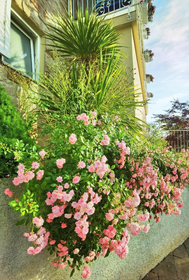 Guesthouse Olei مالينسكا المظهر الخارجي الصورة