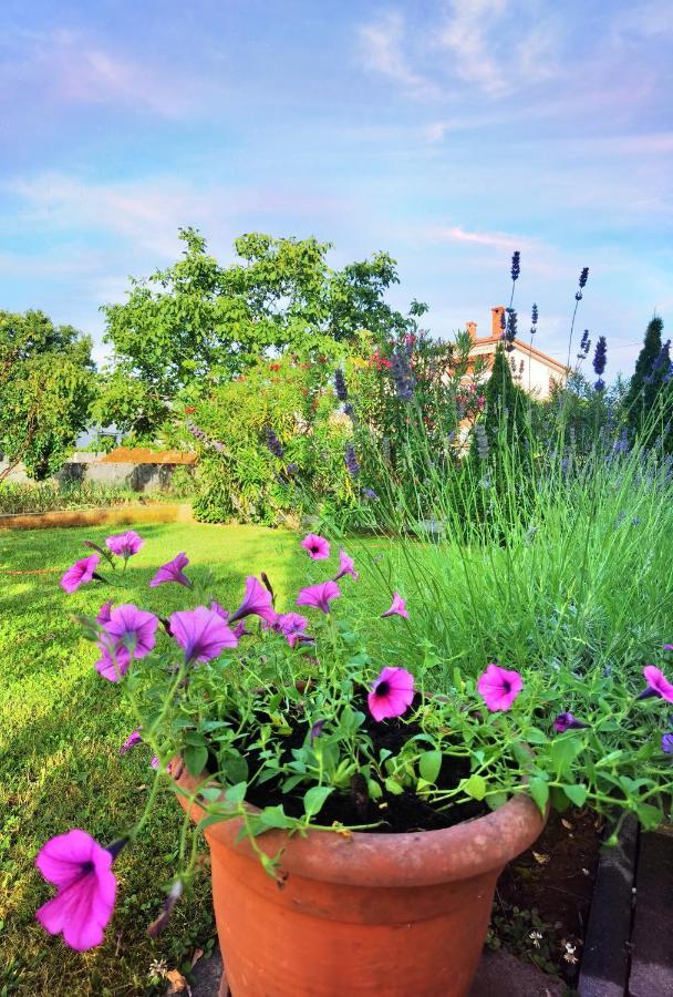 Guesthouse Olei مالينسكا المظهر الخارجي الصورة