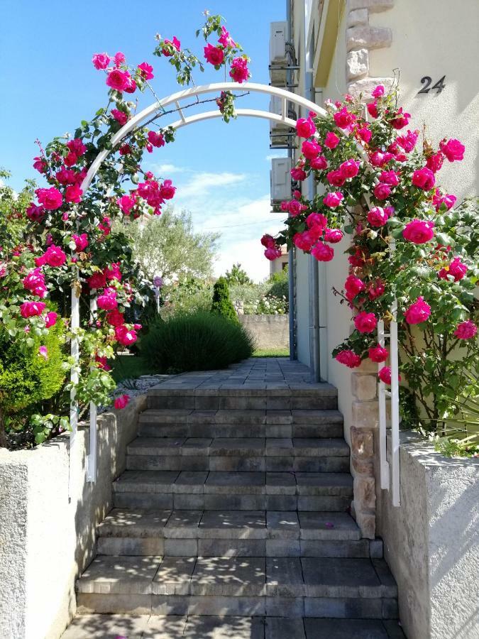 Guesthouse Olei مالينسكا المظهر الخارجي الصورة