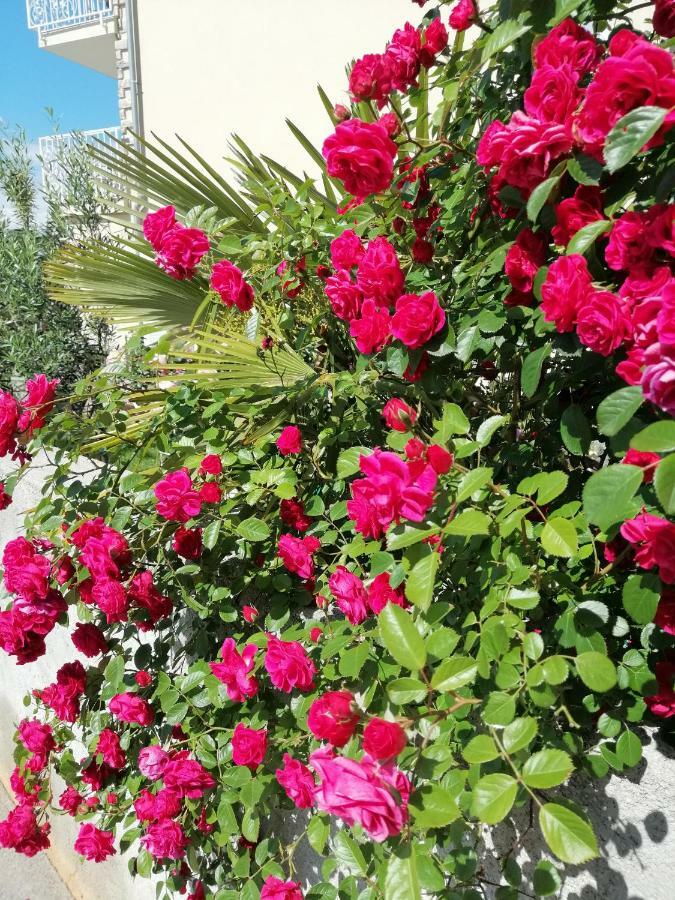Guesthouse Olei مالينسكا المظهر الخارجي الصورة